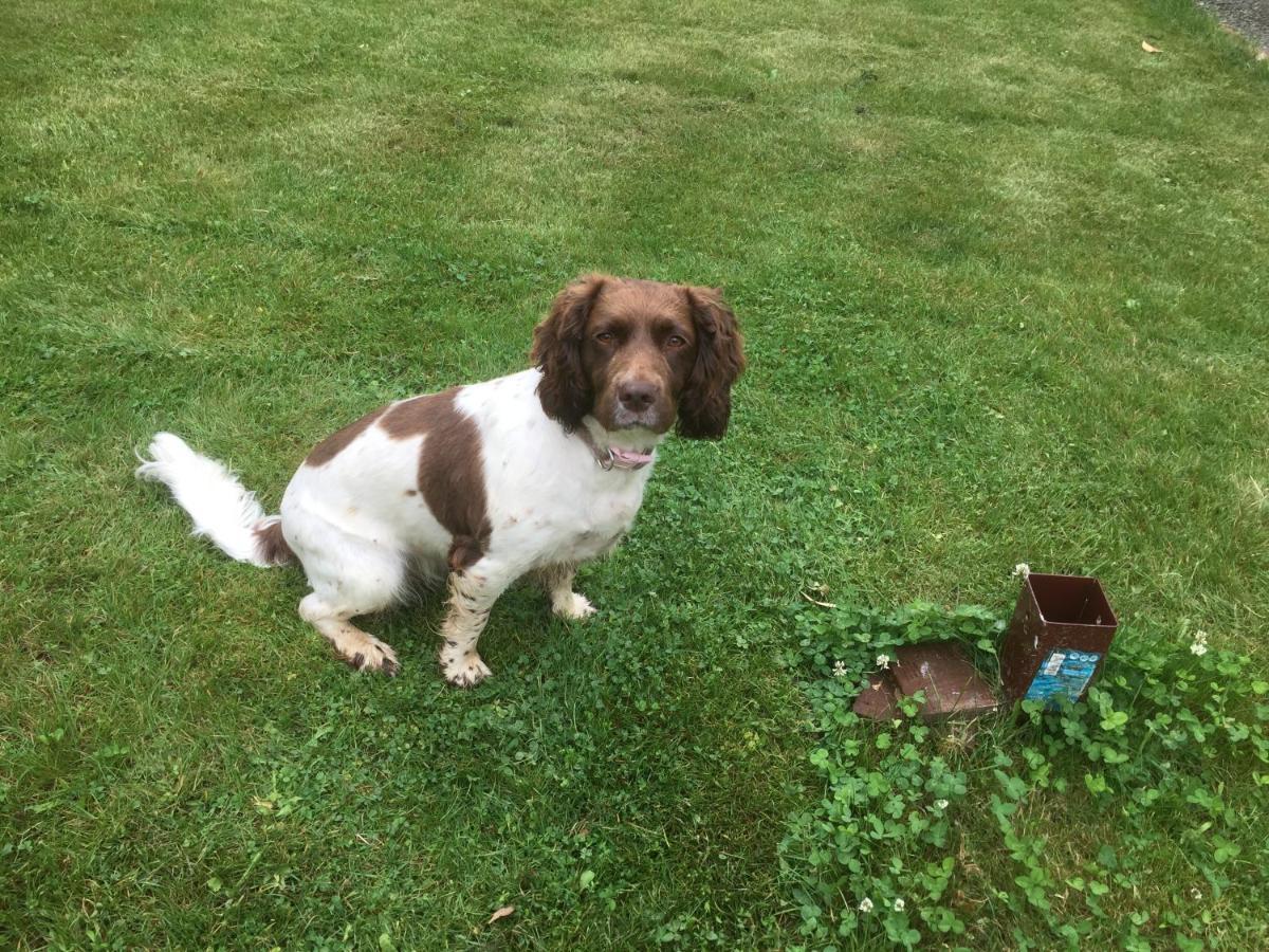 Luxury Dog Friendly Cottage Sleeps 4 Bridlington Zewnętrze zdjęcie