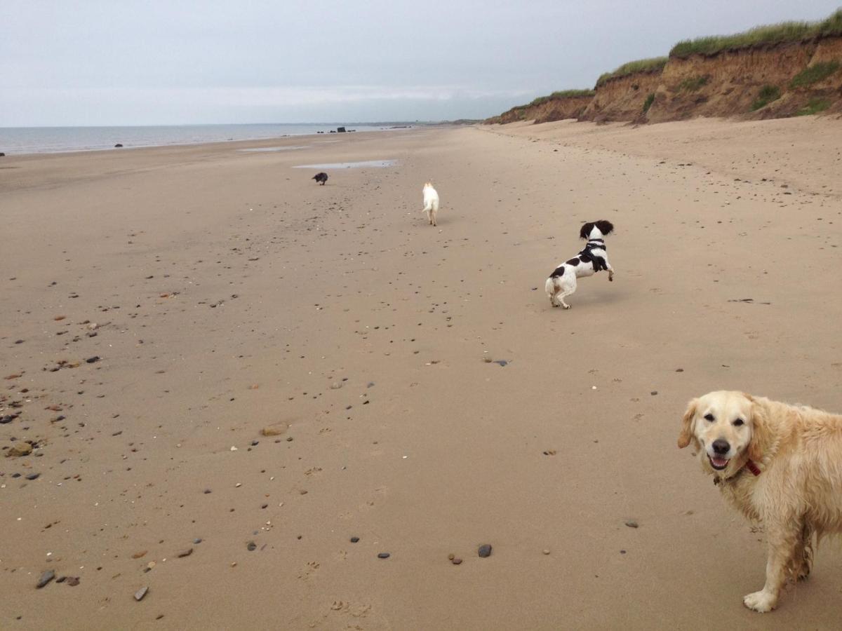 Luxury Dog Friendly Cottage Sleeps 4 Bridlington Zewnętrze zdjęcie